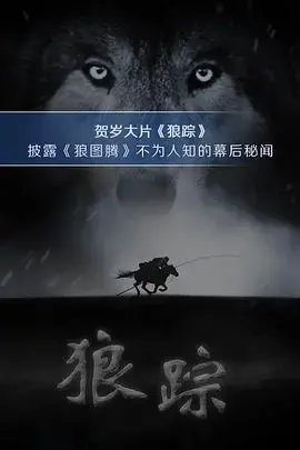 狼踪2015——荒野求生的残酷与希望