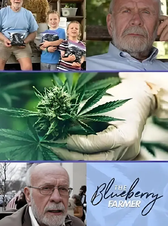 《蓝莓农夫》：一场关于爱与生活的田园牧歌，治愈你的都市疲惫