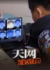 《天网：罪案疑云》：鲍嘉执导下的迷局，谁能逃脱罪恶的审判？